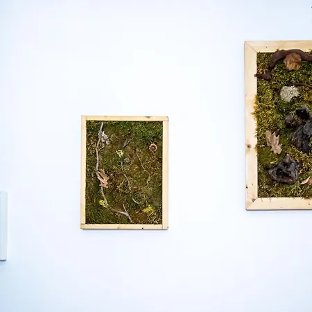 Апартаменты Carducci - Monolocale *